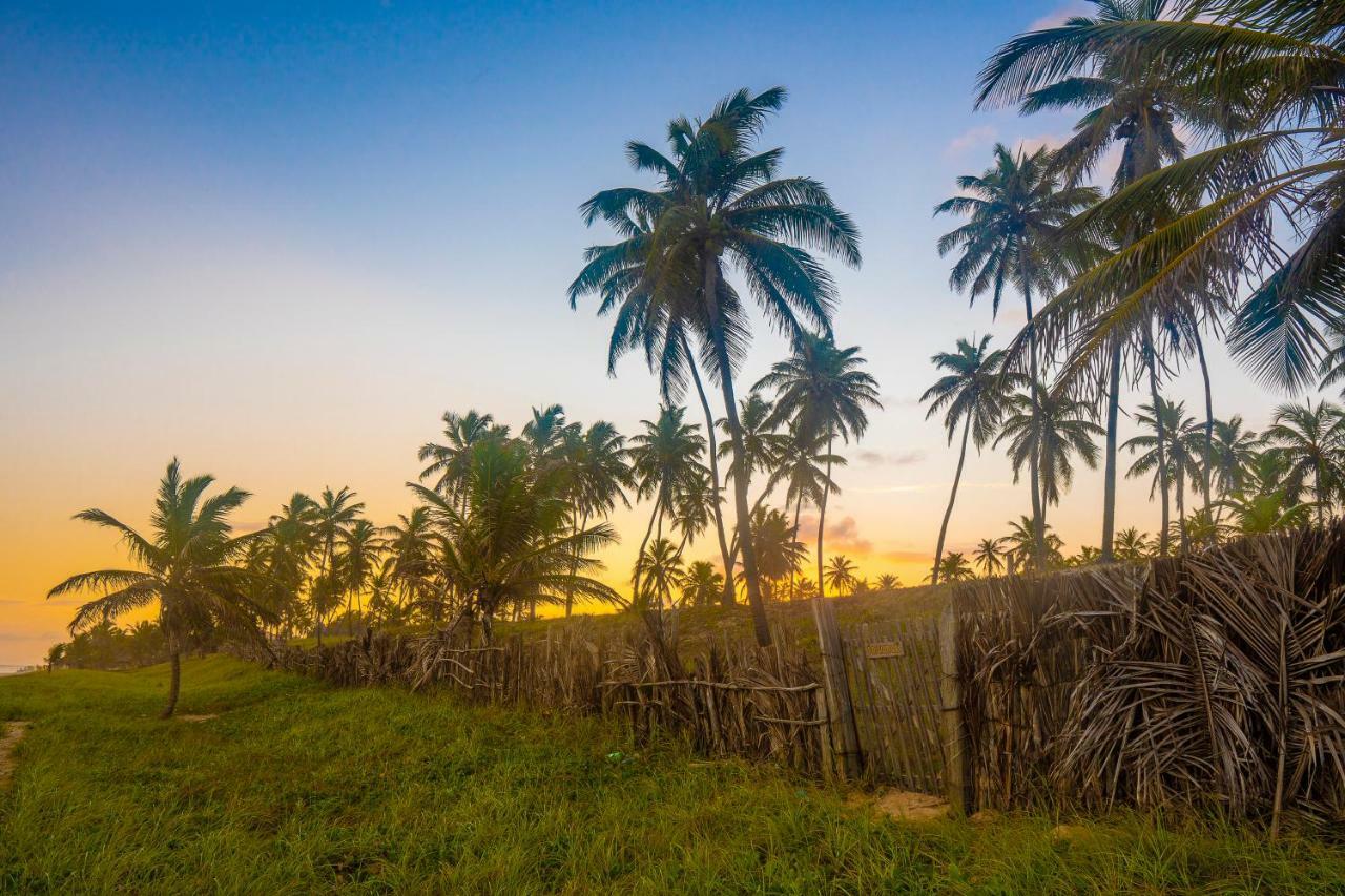 Village Imbassai Ngoại thất bức ảnh